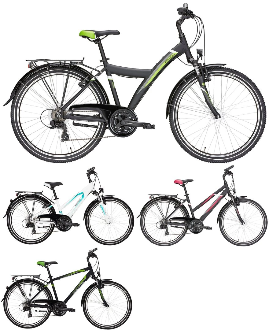 Pegasus Avanti 2018 21-Gang 3 Pegasus Avanti 2018 21-Gang