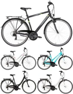 Pegasus Avanti 2018 21-Gang