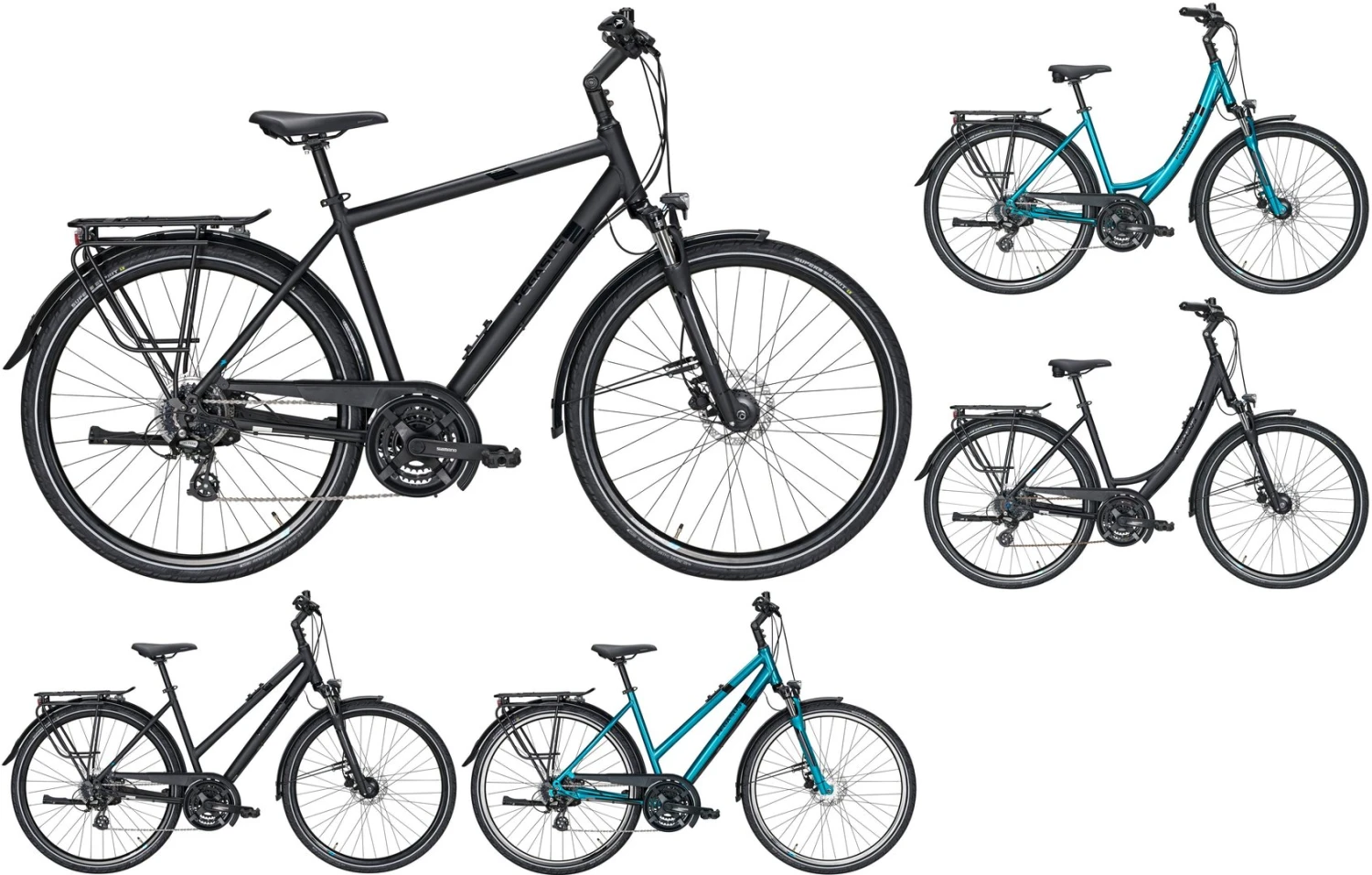 Pegasus Savona-Disc 2020/2021 24-Gang 3 Pegasus Savona-Disc 2020/2021 24-Gang