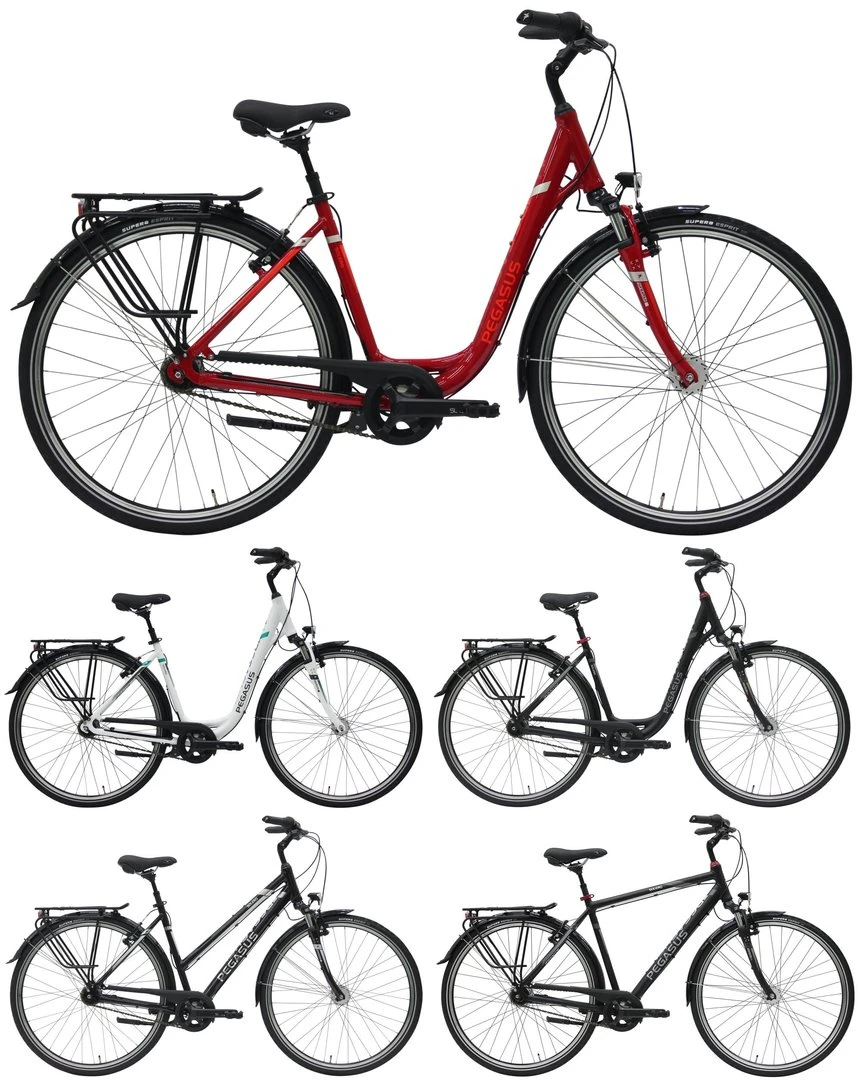 Pegasus Solero SL 2018 7-Gang 3 Pegasus Solero SL 2018 7-Gang